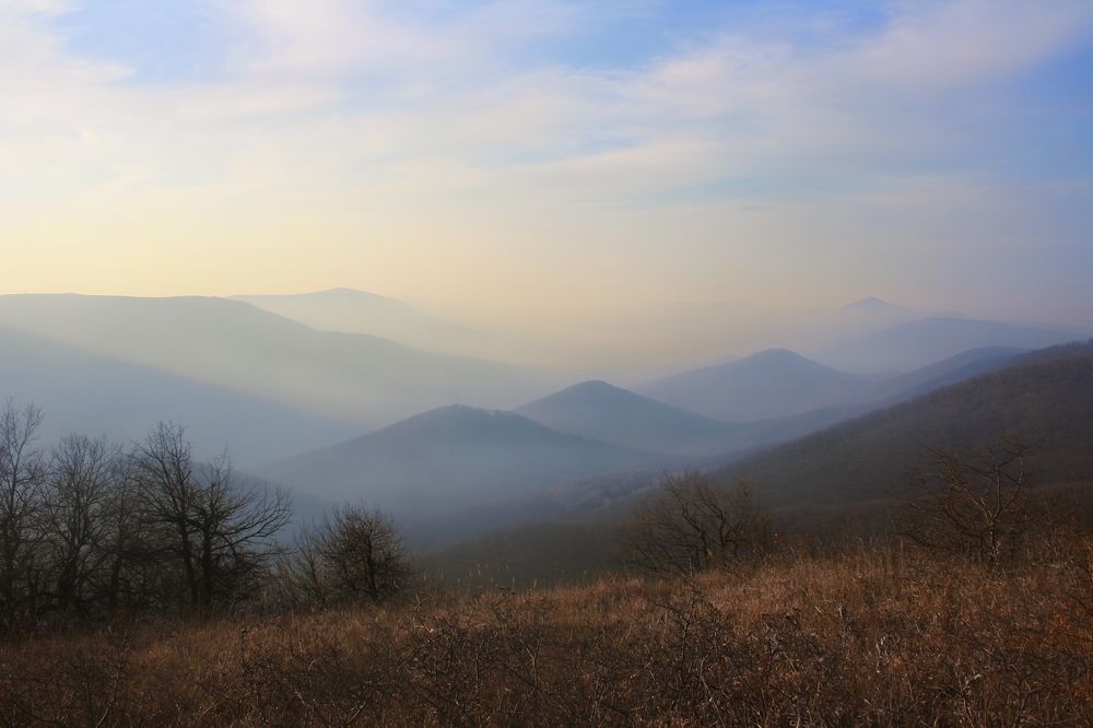 Photograph by Владимир Ушаров