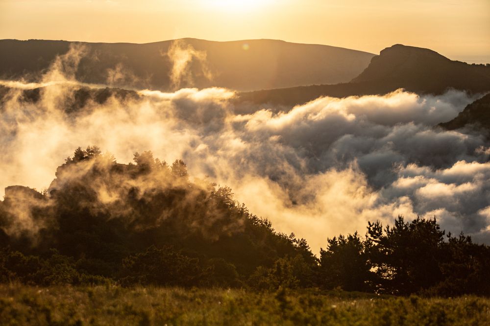 Photograph by Константин Аношин