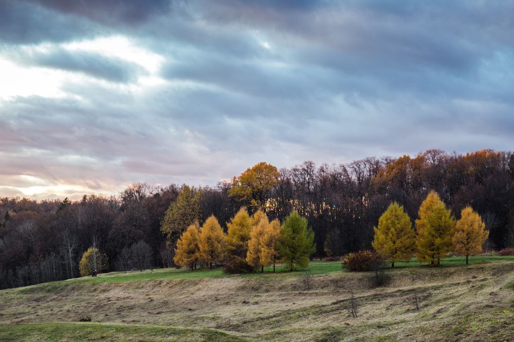 Photograph by Tatiana Varfolomeeva