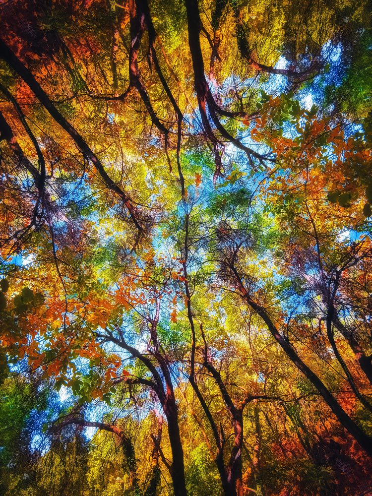 Photograph by Ahmad Shihab