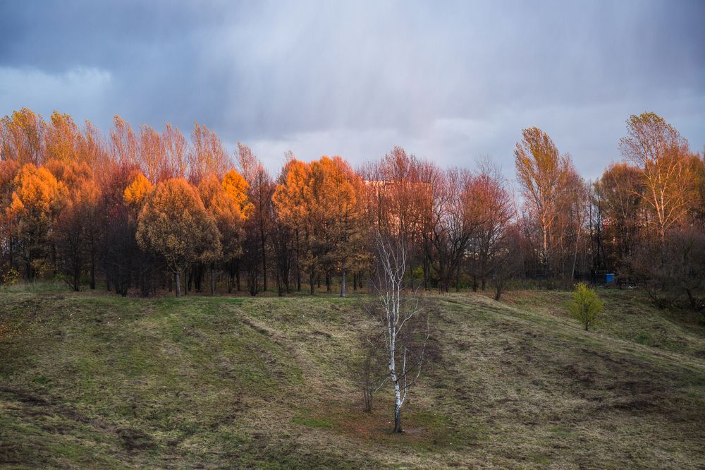 Photograph by Tatiana Varfolomeeva