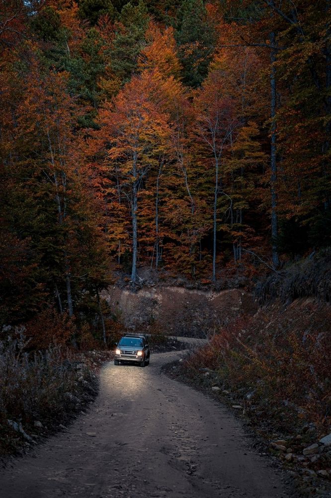 Agricultural work in Autumn