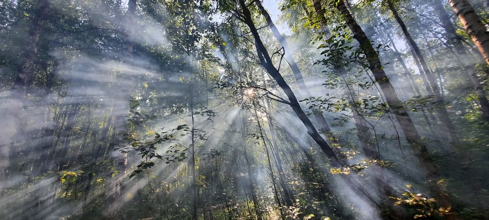 Photograph by Сергей