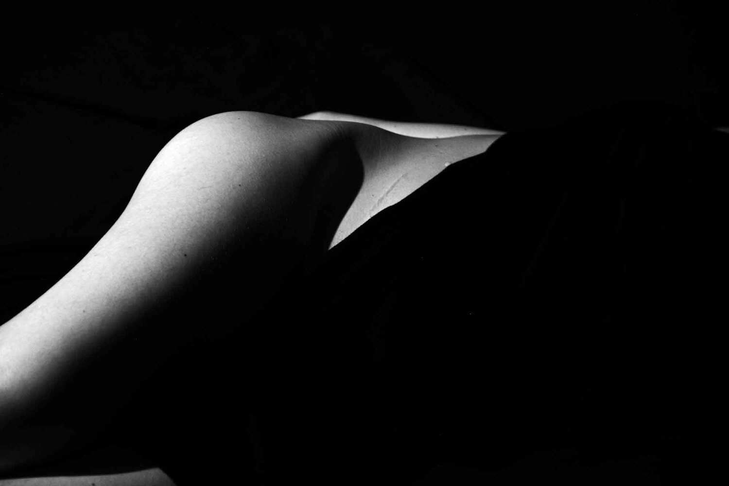 Photo #6683457