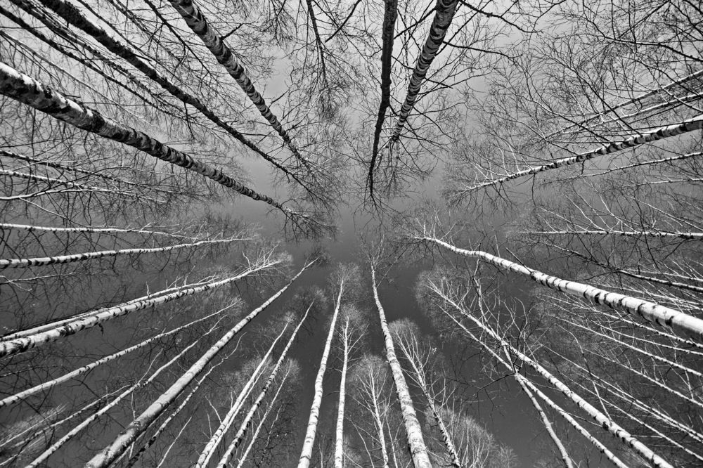 Осеннее небо