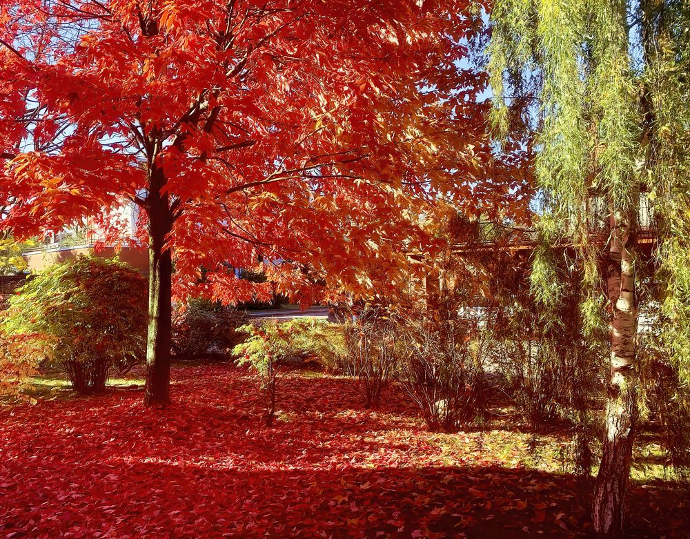 Photograph by Irina Grigoryeva