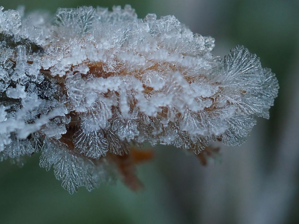 Хрустальный иней