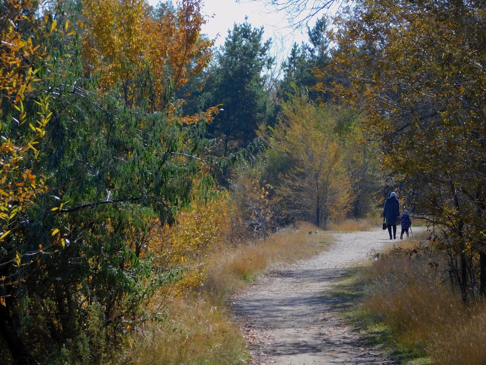 Photograph by Сергей Чеченов