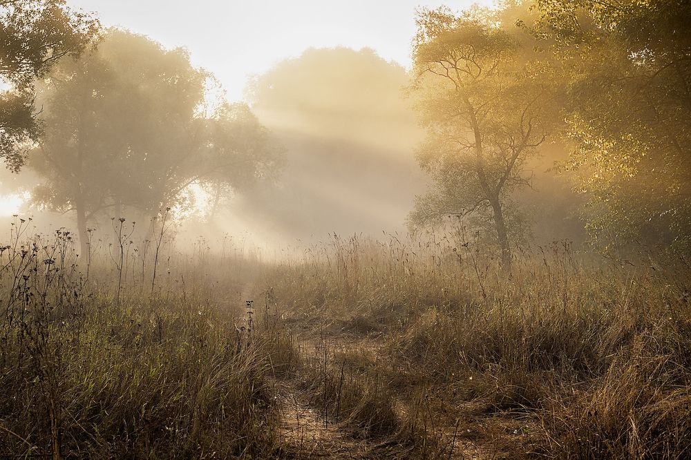 Photograph by Irina Grigoryeva