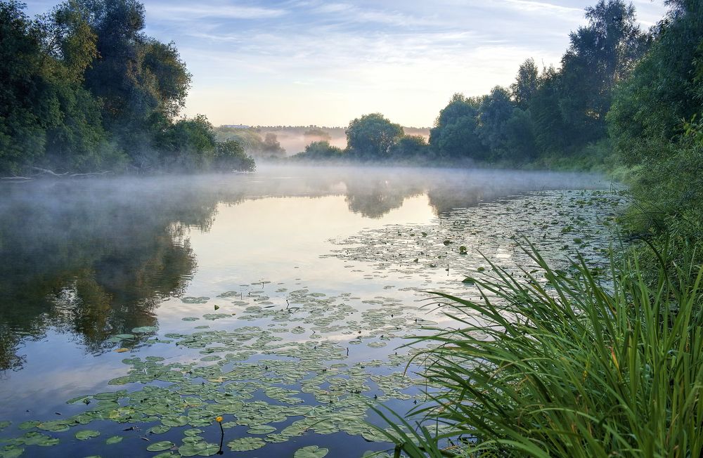 Photograph by Irina Grigoryeva