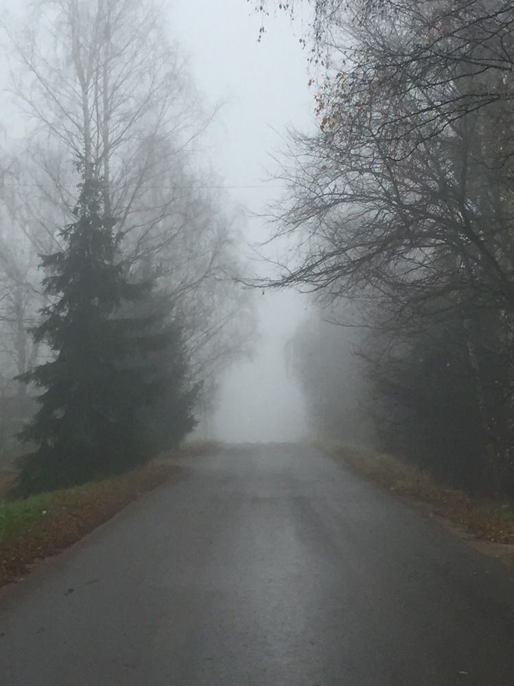 Дорога в никуда