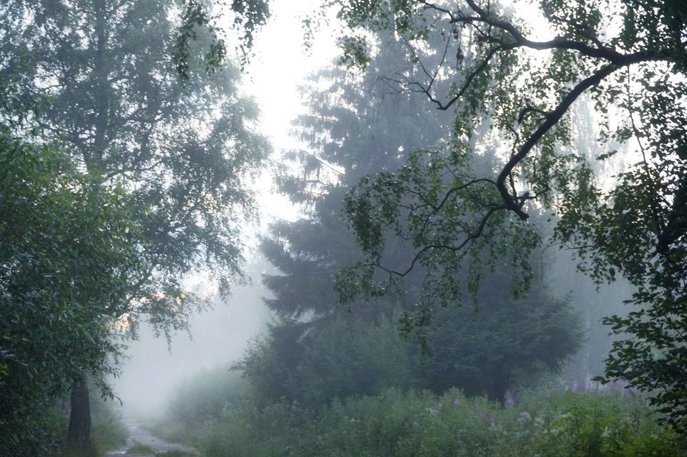 Photograph by Юлия Ганюшина