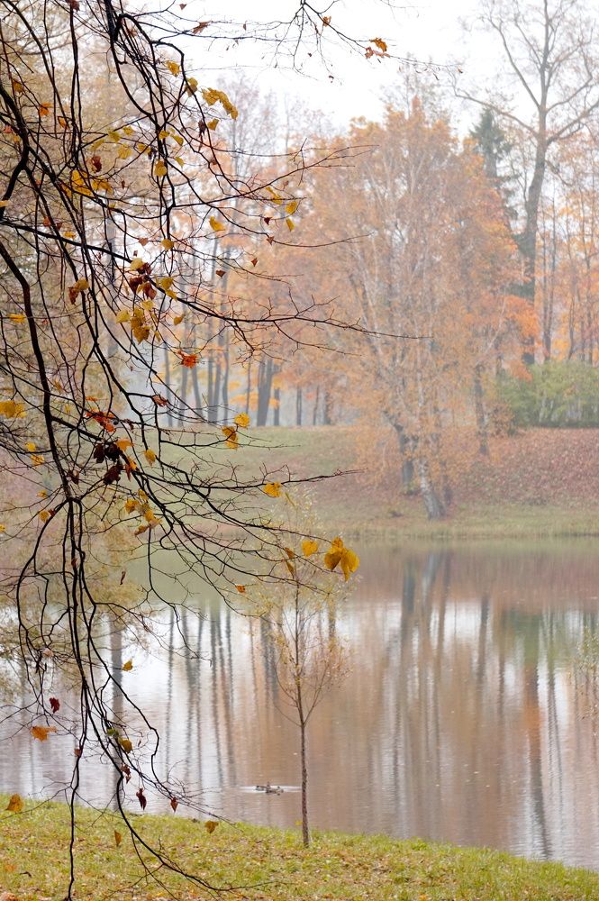 Photograph by Юлия Ганюшина