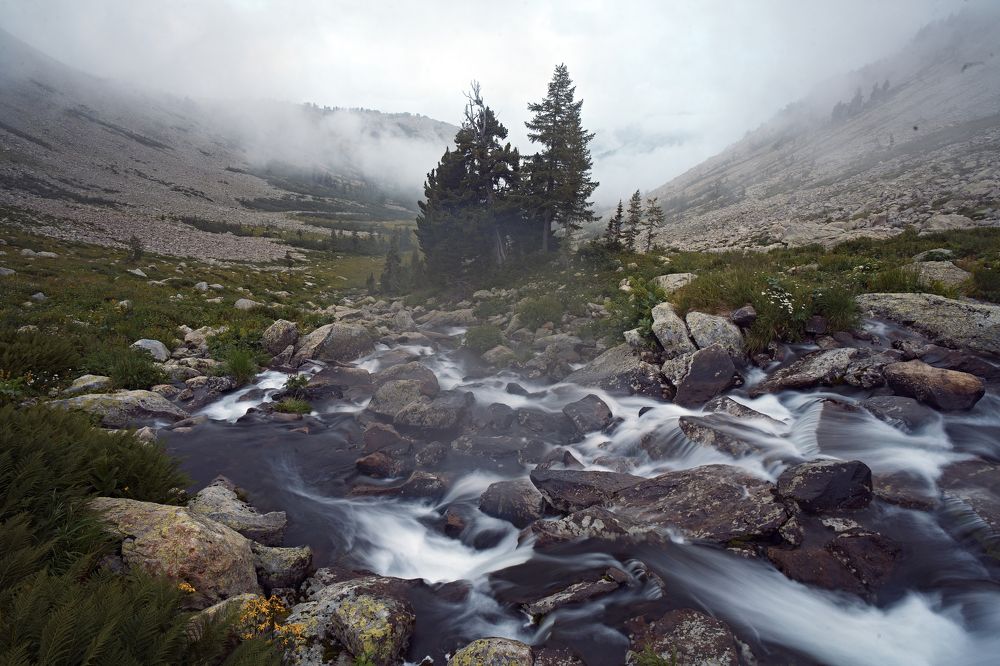 Photograph by Георгий Джеджея