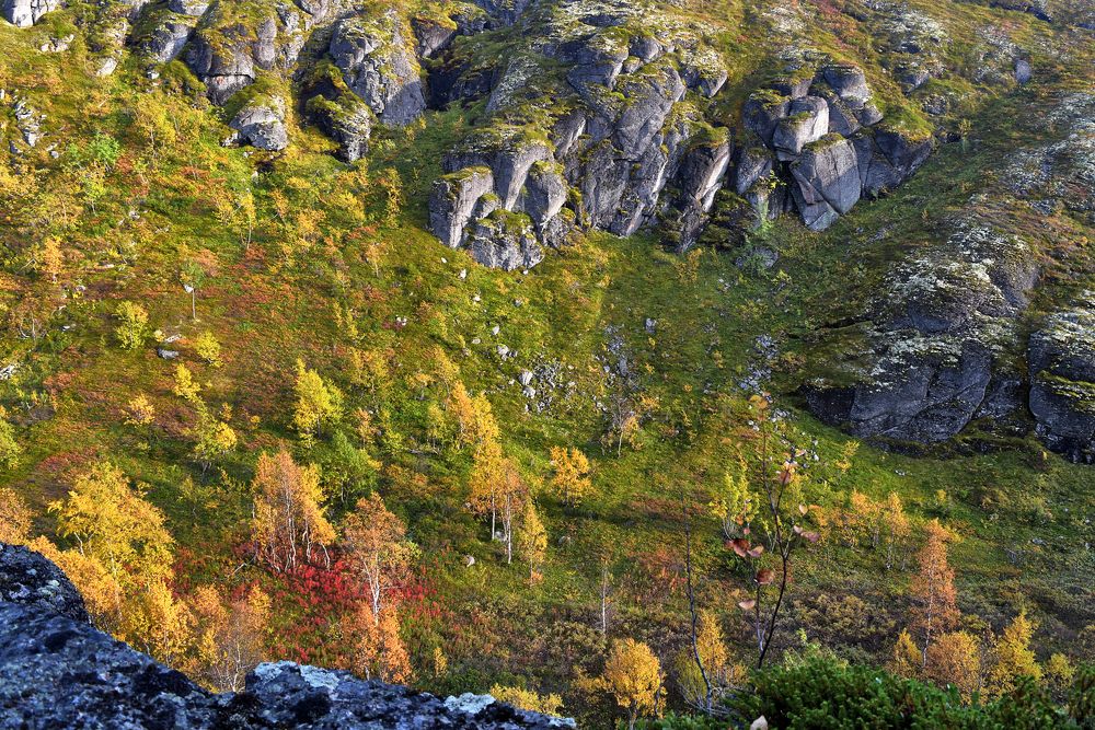 Осень в горной долине