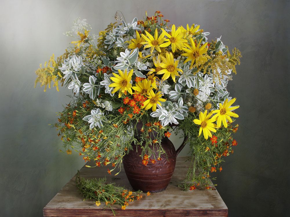 Photograph by Вера  Павлухина