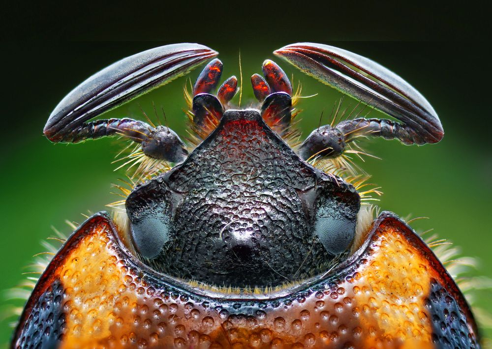 Photograph by Eduardo Modolo