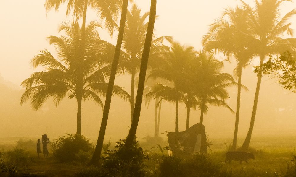 Photograph by Rohan Fernandes