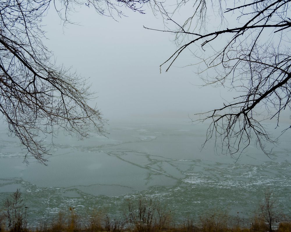 Photograph by Леонид Соснин