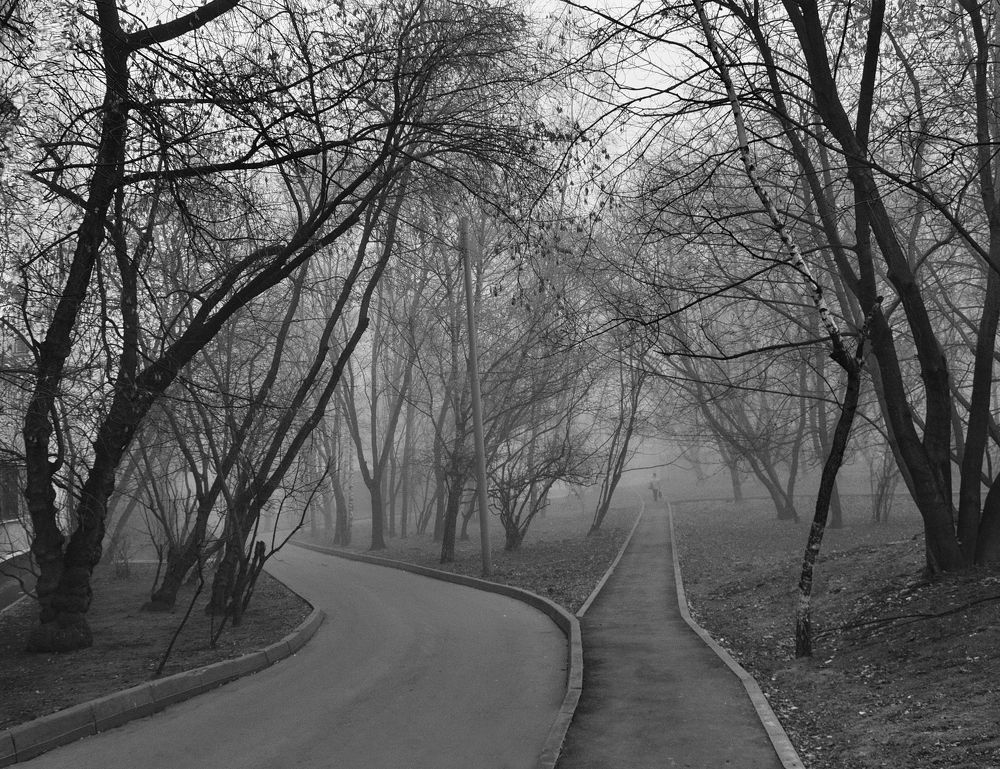 Московские туманы