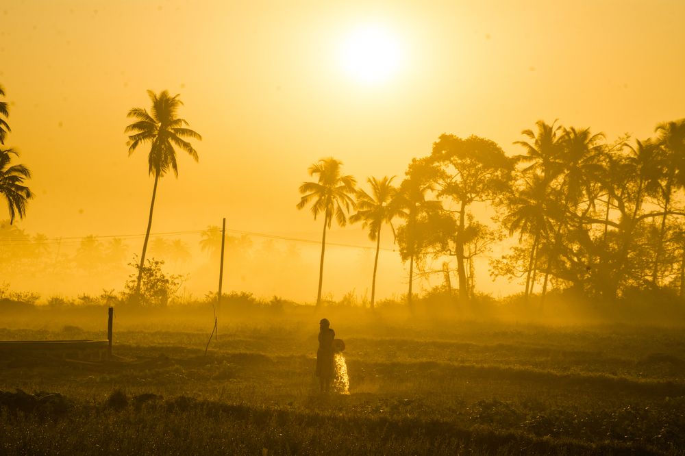 Photograph by Rohan Fernandes