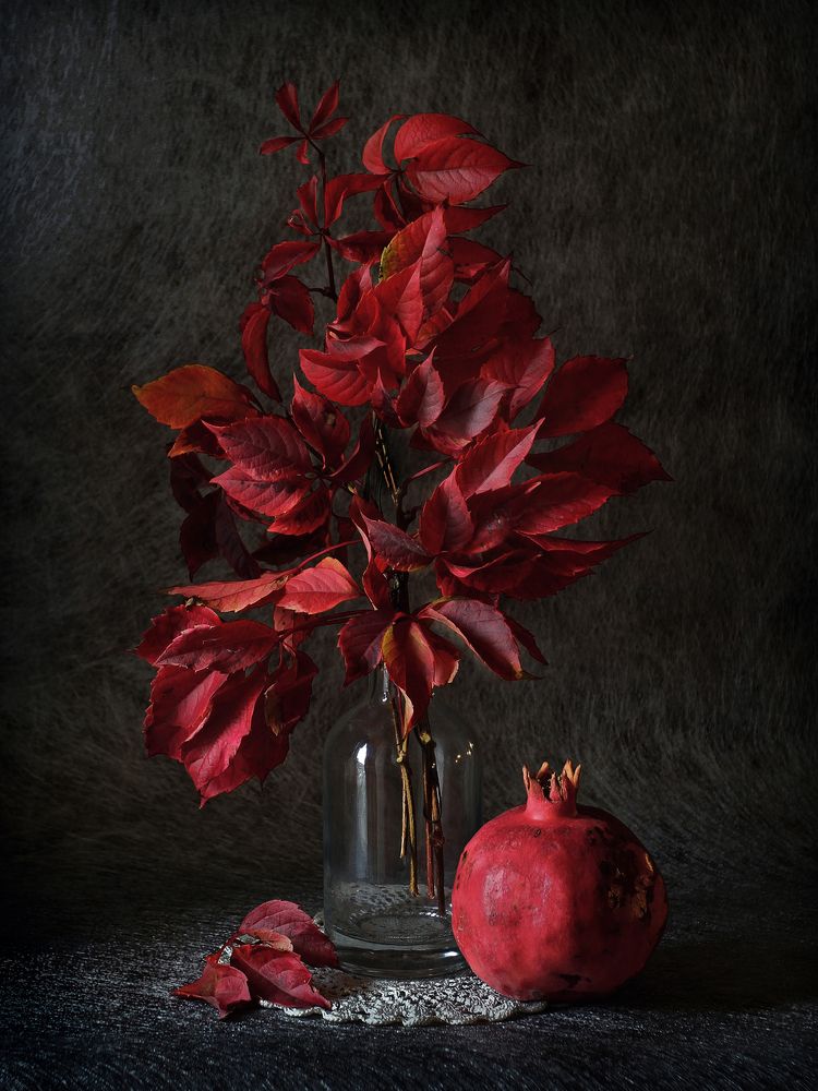 Photograph by Геннадий Петрущенко