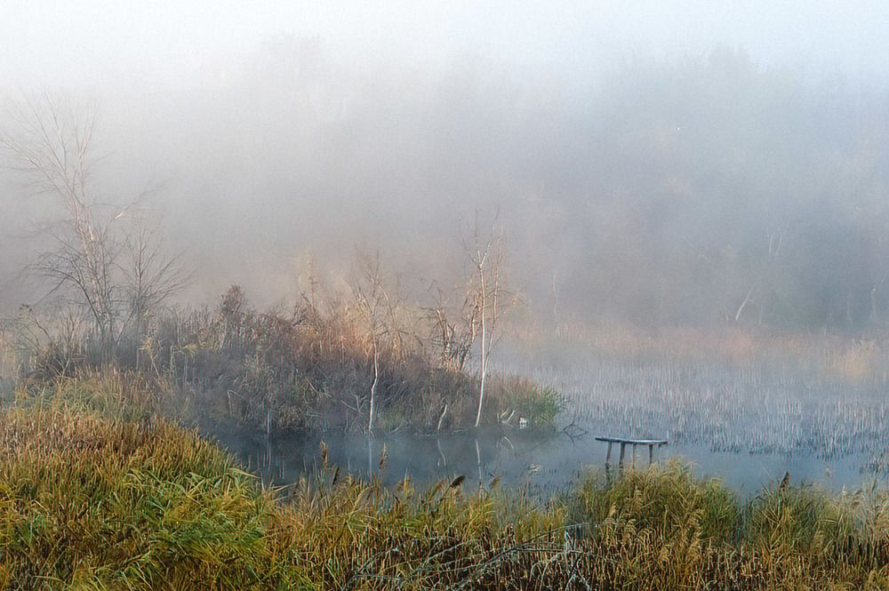 Photograph by Леонид Соснин