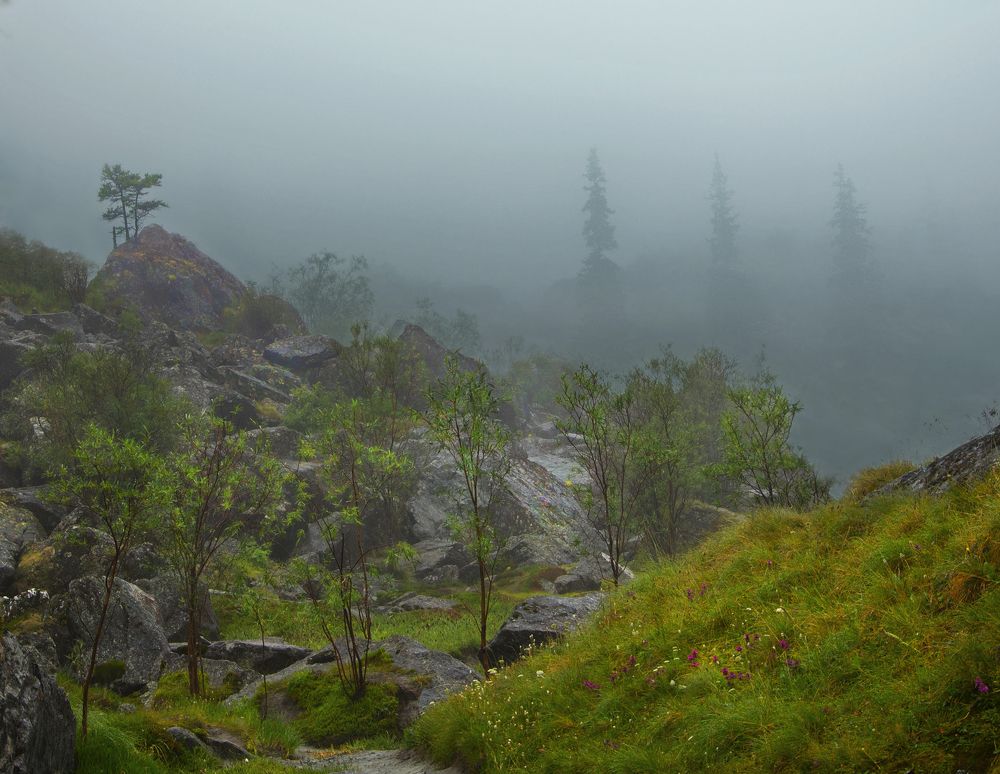 Туманы горного Алтая