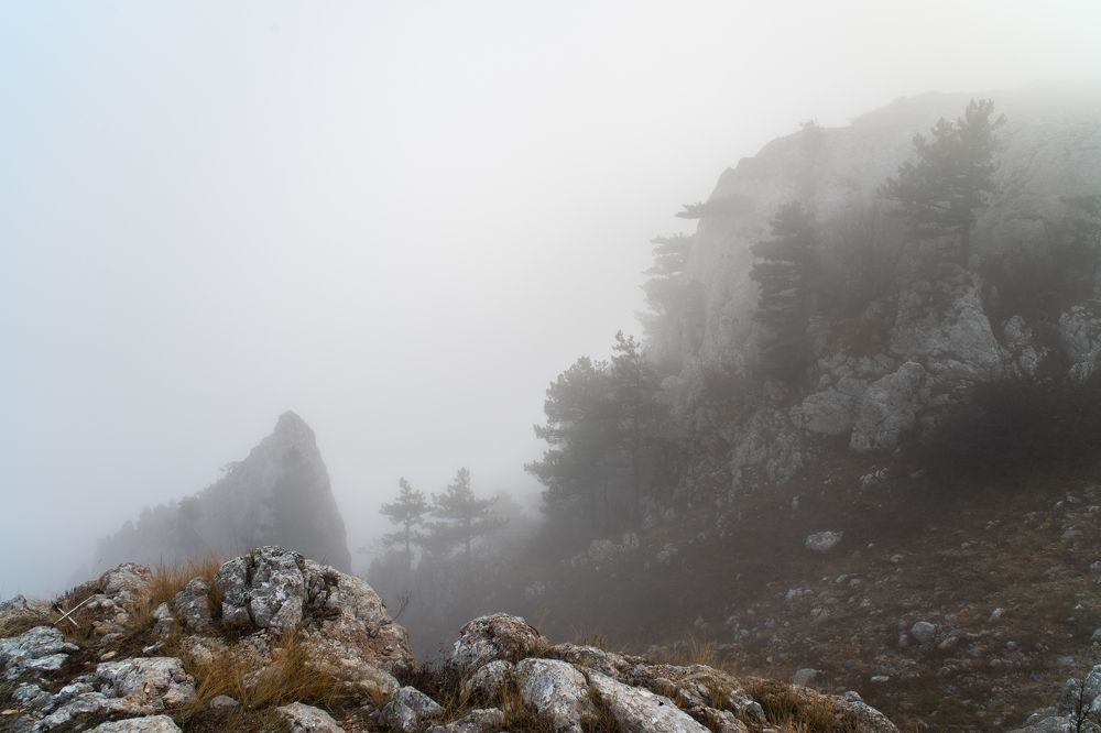 Туман в горах