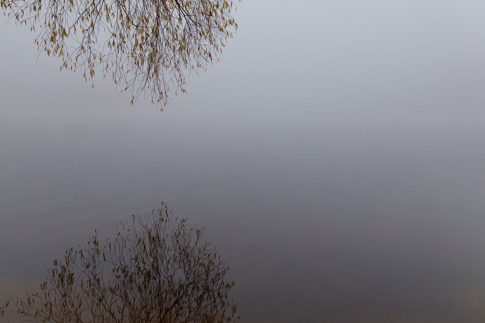 Photograph by Лидия Богданова