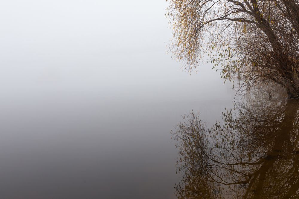 Photograph by Лидия Богданова