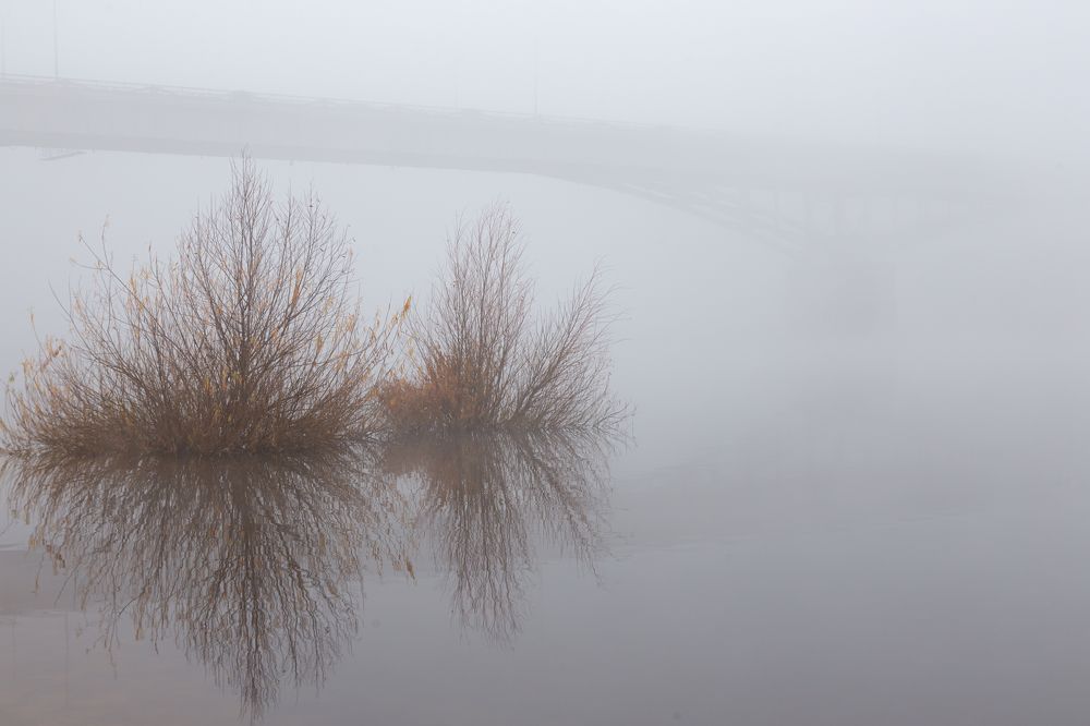 Photograph by Лидия Богданова