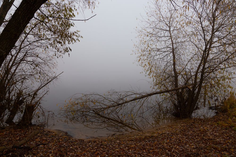 Photograph by Лидия Богданова