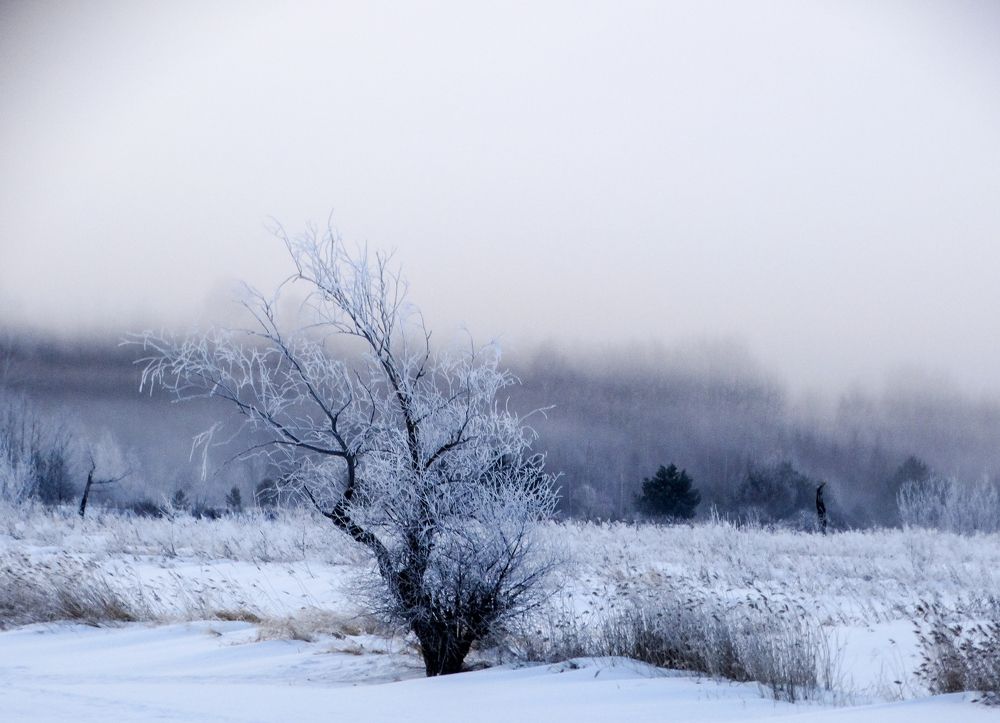 Photograph by Григорий Сергеевич
