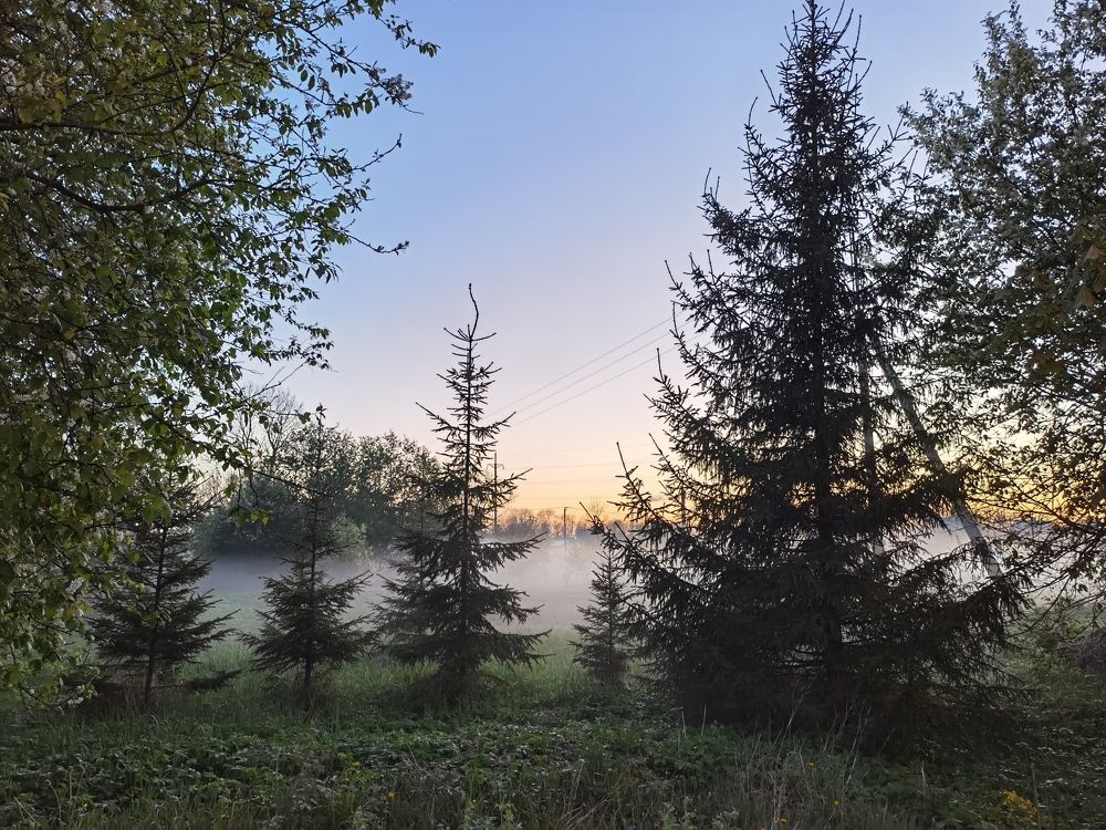 Photograph by Татьяна С