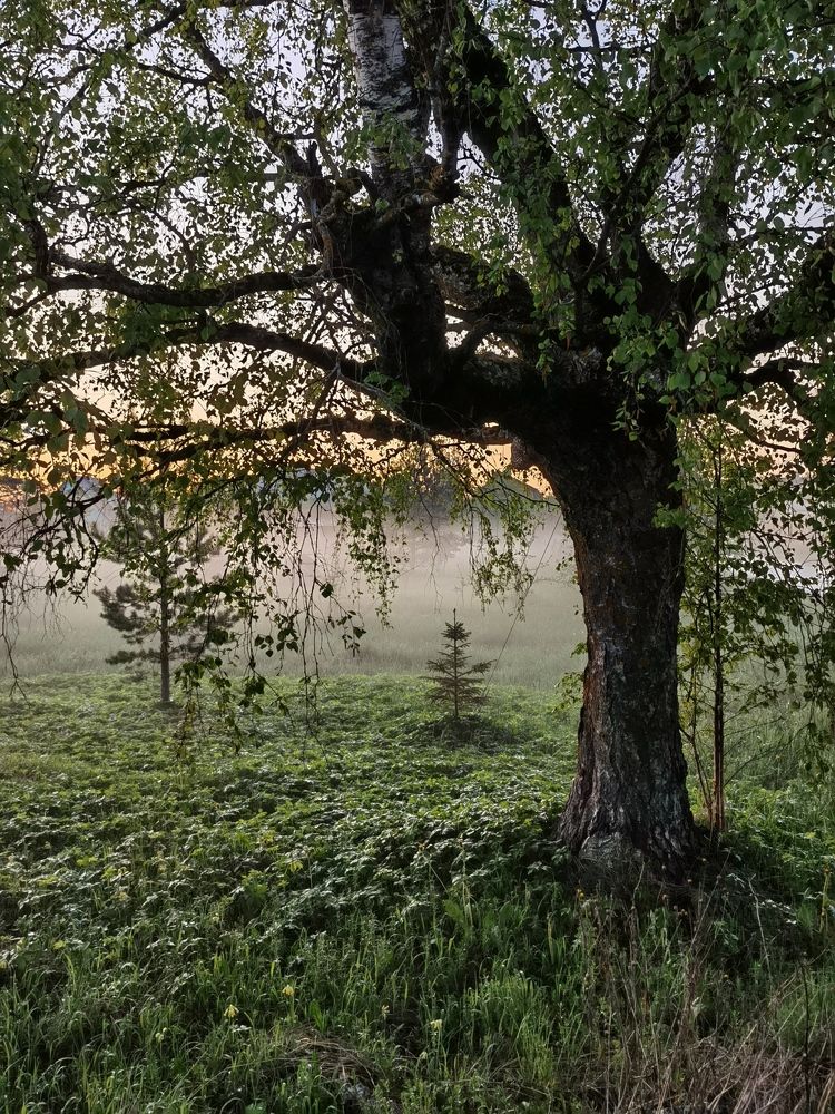 Photograph by Татьяна С