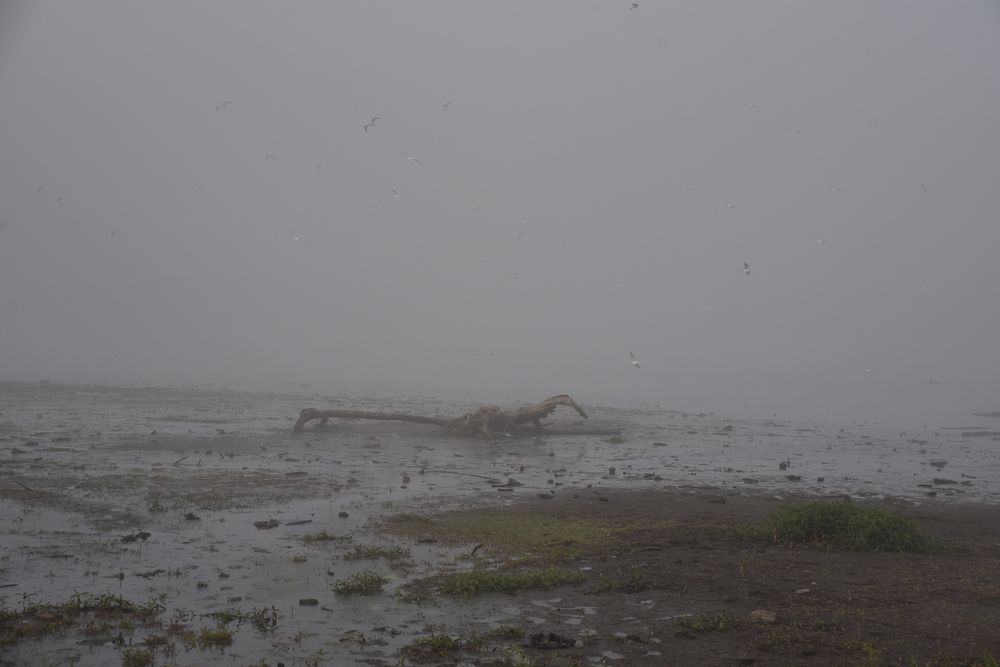 Фотография автора Сергей Чесноков