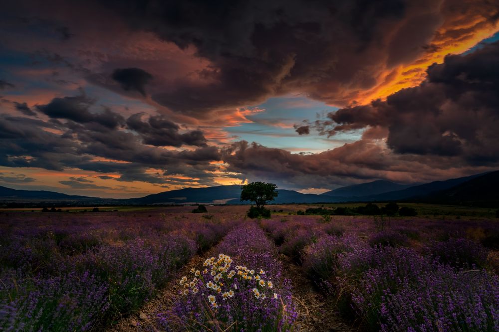 Photograph by Eddie Adamov