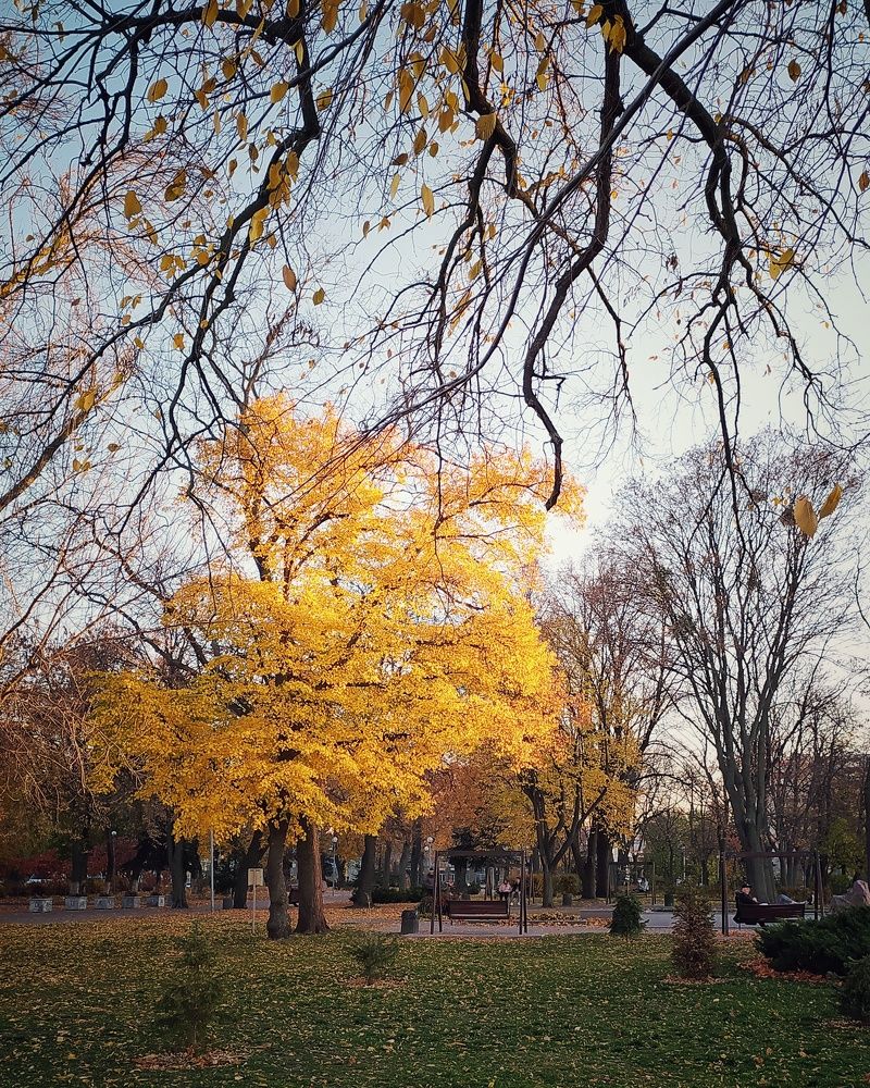 Photograph by Анна Пилипенко