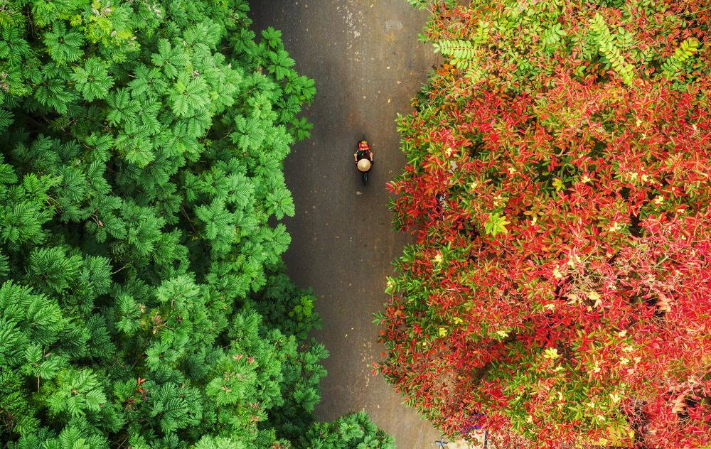 Photograph by Ba Hung Do