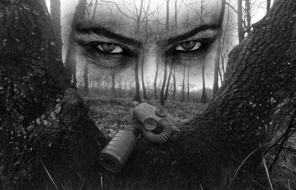 Photograph by Muzaffer Sütlüoğlu