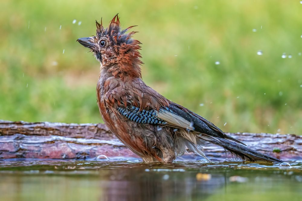 Photograph by Eddie Adamov