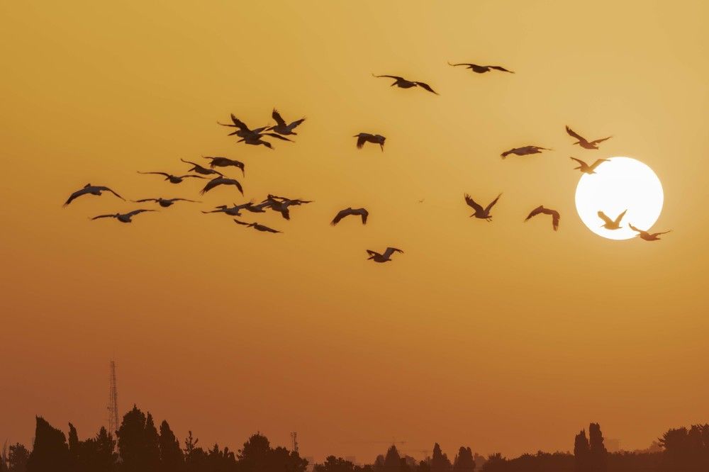 Photograph by klara Neikov