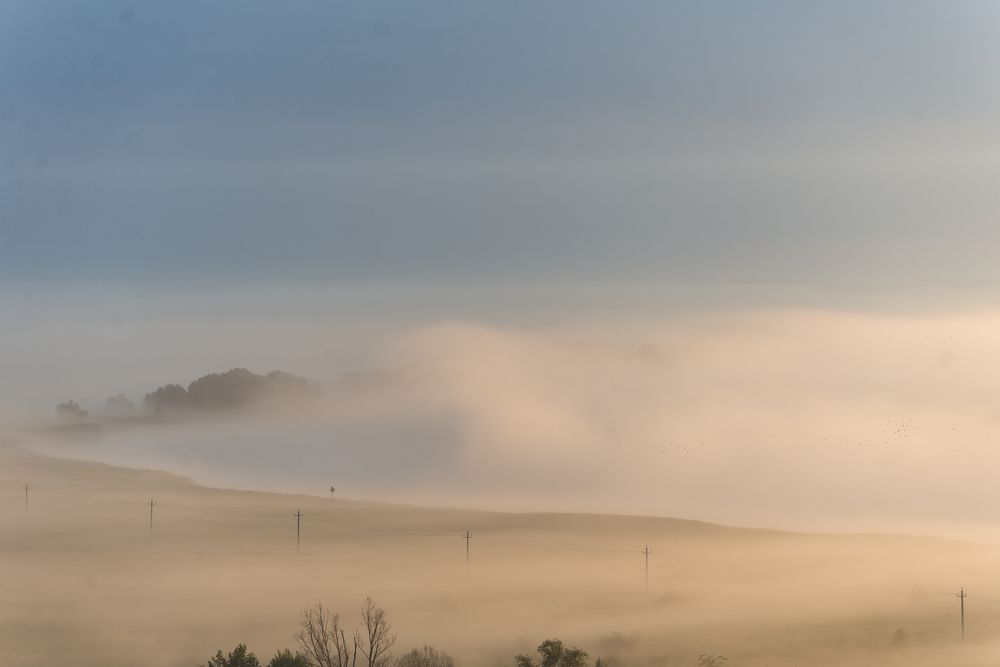 Photograph by Мария Чепрасова