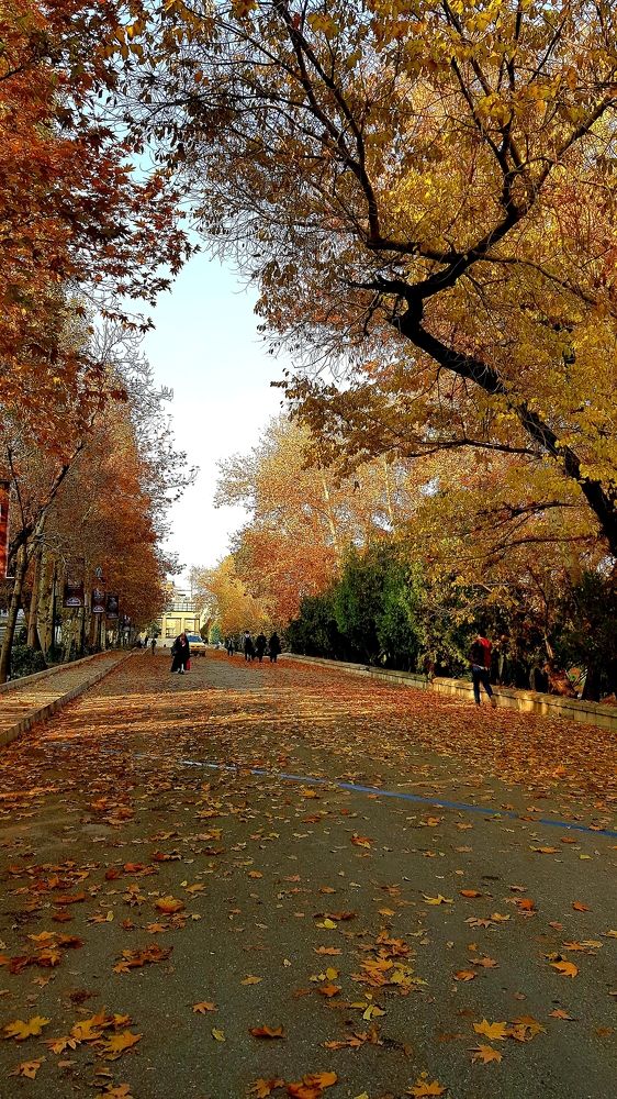 University of Tehran