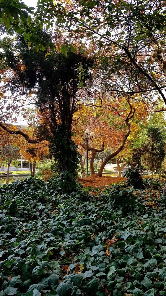 University of Tehran