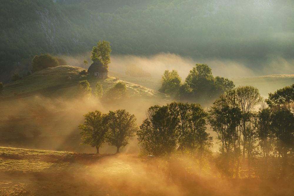 Photograph by Alex Coman