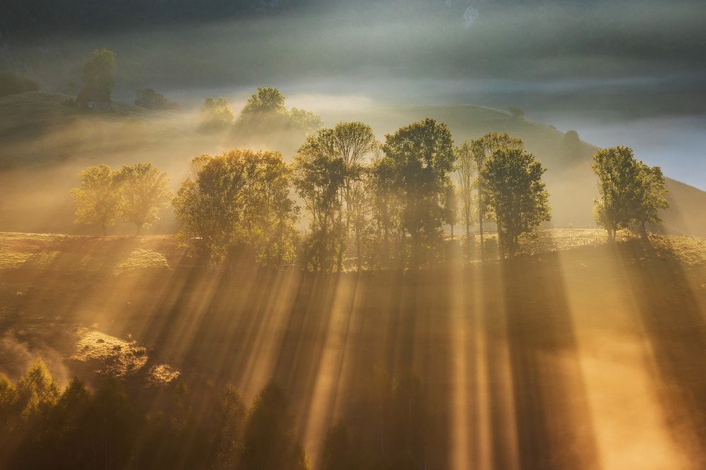 Photograph by Alex Coman