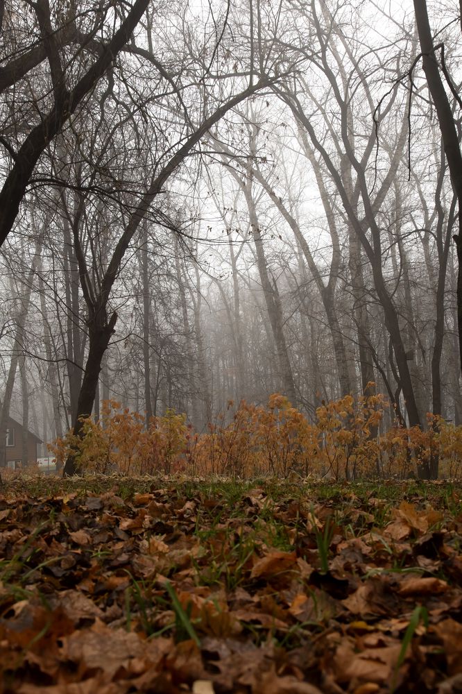 Photograph by Юрий Ткачев