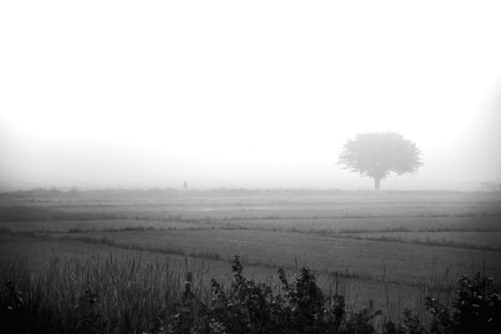 Photograph by Swarup Chakraborty